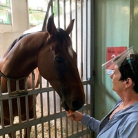 LOGAN RACING STABLES SINGAPORE , SATURDAY MARCH 20TH