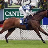 LOGAN RACING RUNNERS @ AUCKLAND and SOUTH CANTERBURY