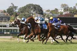 LOGAN RACING @ WAIKATO