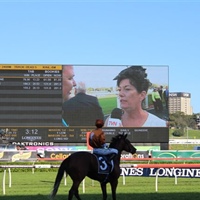 RISING ROMANCE IN GROUP 1 BMW AT ROSEHILL ON SATURDAY 28 MARCH 2015