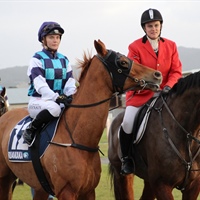 LOGAN RACING STABLES HAVE A BIG TEAM LINING UP AT RUAKAKA ON WEDNESDAY 28TH SEPTEMBER