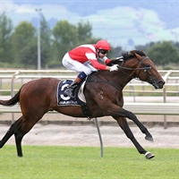 MONGOLIAN FALCON, WYNDSPELLE AND TOORAK TOWER HEAD TO TE RAPA ON MONDAY 24TH OCTOBER