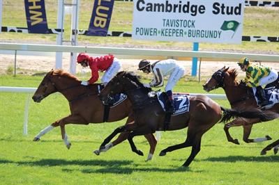 LOGAN RACING STABLES RUNNERS AT ELLERSLIE 26TH AND TE RAPA 27TH NOVEMBER