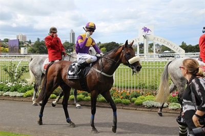 CITY OF AUCKLAND CUP QUINELLA GREAT WAY TO START OFF THE NEW YEAR FOR LOGAN RACING STABLES