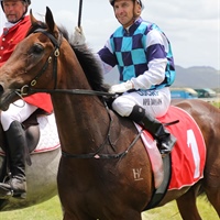 LOGAN RACING STABLES HAVE 3 WINNERS AT RUAKAKA ON JANUARY 6TH