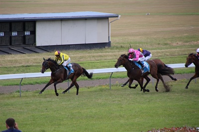 3 WINNING CHANCES FOR LOGAN RACING STABLES AT ELLERSLIE WEDNESDAY 8TH FEBRUARY