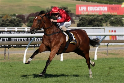 VOLKSTOK'N'BARREL HEADS TO GROUP 1 HERBIE DYKE $400000 ON SATURDAY 11TH FEBRUARY