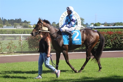 JAKE THE MUSS WINS AT AVONDALE AND WYNDSPELLE READY FOR THE DERBY