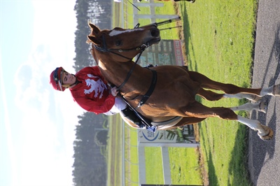 BIG DAY FOR LOGAN RACING STABLES AT RUAKAKA SATURDAY 17TH JUNE , 3 WINS, 3 SECONDS AND 3 THIRDS