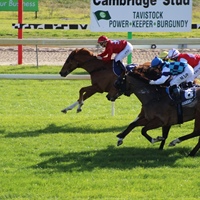 GREAT DAY FOR LOGAN RACING STABLES AT RUAKAKA ON SATURDAY 17TH JUNE WITH 3 WINS, 3 SECONDS AND 3 THIRDS