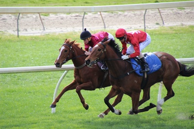LOGAN RACING STABLES HAVE 15 RUNNERS AT RUAKAKA ON SATURDAY SEPTEMBER 2ND. CAN THEY REPEAT LAST YEARS TALLY OF 3 WINS.