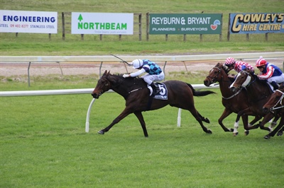 LOGAN RACING HAVE A BIG TEAM LINING UP AT RUAKAKA ON WEDNESDAY OCTOBER 4TH INCLUDING 7 DEBUT RUNNERS  