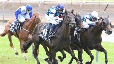 LOGAN RACING STABLES HAVE 6 STARTERS AT ELLERSLIE ON SATURDAY 10 MARCH 