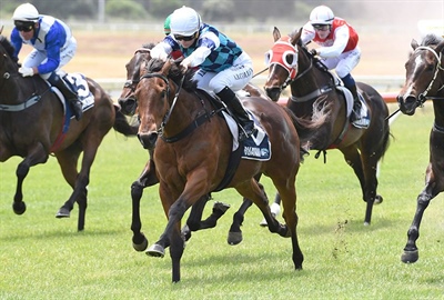 [HORSEBETTING] STABLEMATES LOCKED IN FOR SYDNEY