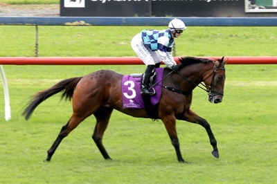 LADY MISSY WILL START AT PUKEKOHE ON 4 MAY FRIDAY