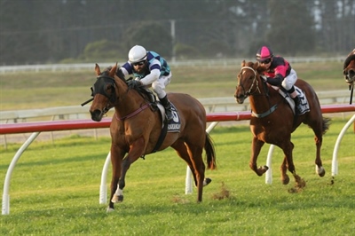 GIBBS AND BRADLEY WIN FIVE AT RUAKAKA