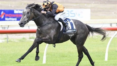 RACING: MARE ON SONG FOR CAPTAIN COOK