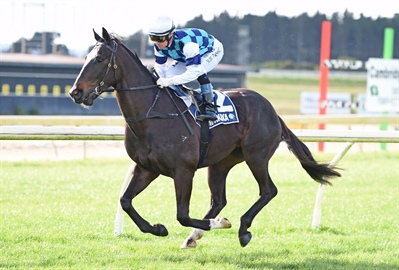 LOGAN RACING STABLES THURSDAY-25/04 RUNNERS PREVIEW